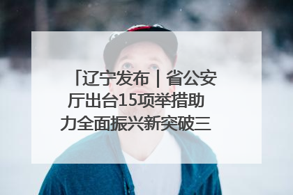 辽宁发布｜省公安厅出台15项举措助力全面振兴新突破三年行动决胜之战