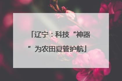 辽宁：科技“神器”为农田夏管护航