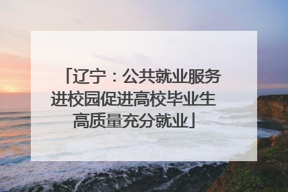 辽宁：公共就业服务进校园促进高校毕业生高质量充分就业