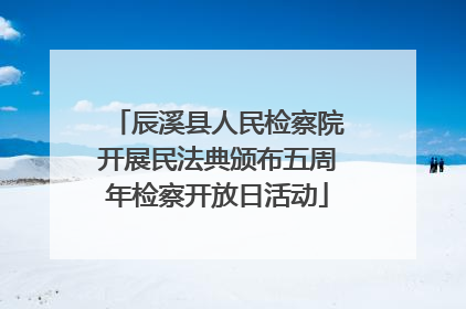 辰溪县人民检察院开展民法典颁布五周年检察开放日活动
