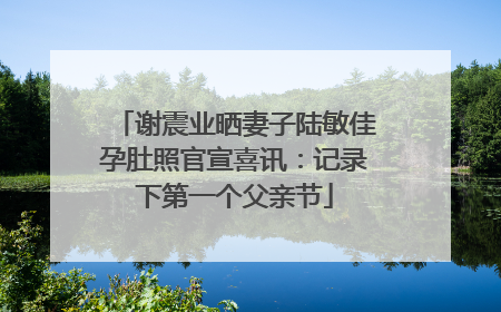 谢震业晒妻子陆敏佳孕肚照官宣喜讯：记录下第一个父亲节