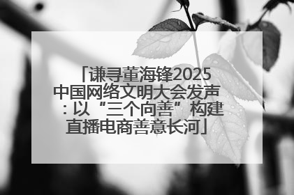 谦寻董海锋2025中国网络文明大会发声：以“三个向善”构建直播电商善意长河