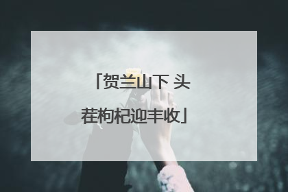 贺兰山下 头茬枸杞迎丰收
