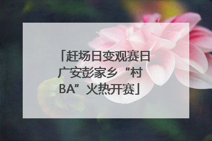 赶场日变观赛日 广安彭家乡“村BA”火热开赛