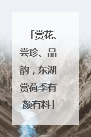 赏花、尝珍、品韵，东湖赏荷季有颜有料