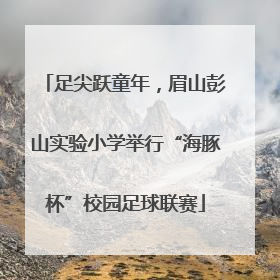 足尖跃童年，眉山彭山实验小学举行“海豚杯”校园足球联赛