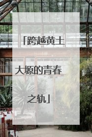 跨越黄土大塬的青春之轨