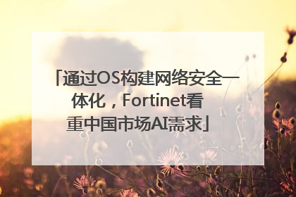 通过OS构建网络安全一体化，Fortinet看重中国市场AI需求