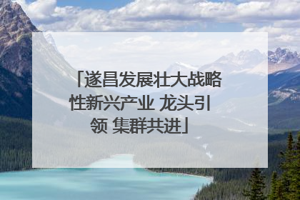 遂昌发展壮大战略性新兴产业 龙头引领 集群共进