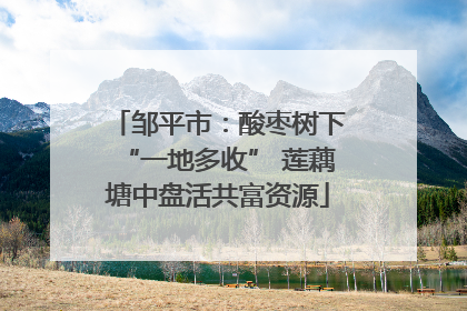邹平市：酸枣树下“一地多收” 莲藕塘中盘活共富资源