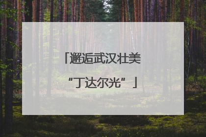 邂逅武汉壮美“丁达尔光”