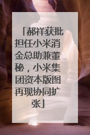 郝祥获批担任小米消金总助兼董秘，小米集团资本版图再现协同扩张