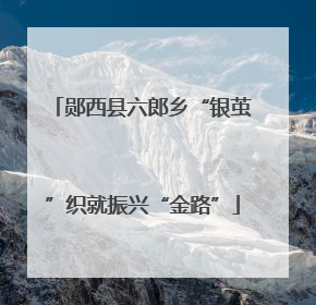 郧西县六郎乡“银茧”织就振兴“金路”