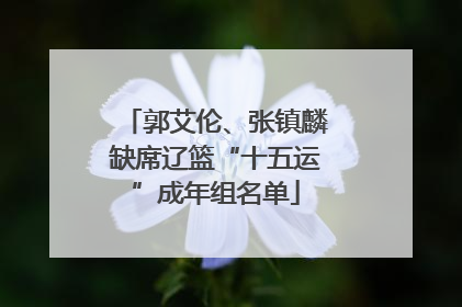 郭艾伦、张镇麟缺席辽篮“十五运”成年组名单