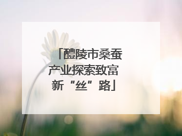 醴陵市桑蚕产业探索致富新“丝”路