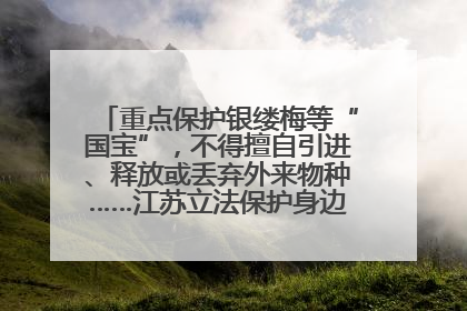 重点保护银缕梅等“国宝”，不得擅自引进、释放或丢弃外来物种……江苏立法保护身边的生物“朋友圈”