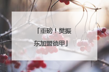 重磅！樊振东加盟德甲