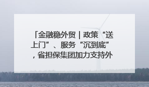 金融稳外贸｜政策“送上门”、服务“沉到底”，省担保集团加力支持外经贸高质量发展