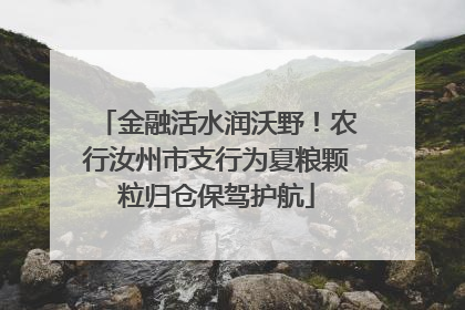 金融活水润沃野！农行汝州市支行为夏粮颗粒归仓保驾护航