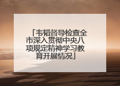 韦韬督导检查全市深入贯彻中央八项规定精神学习教育开展情况