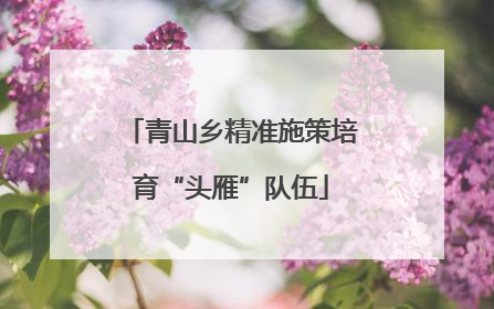 青山乡精准施策培育“头雁”队伍