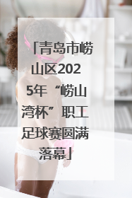 青岛市崂山区2025年“崂山湾杯”职工足球赛圆满落幕