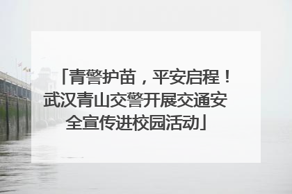 青警护苗，平安启程！武汉青山交警开展交通安全宣传进校园活动