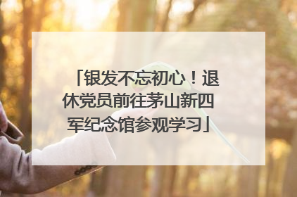 银发不忘初心！退休党员前往茅山新四军纪念馆参观学习