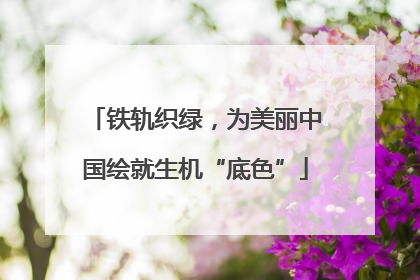 铁轨织绿，为美丽中国绘就生机“底色”