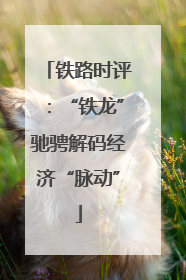 铁路时评：“铁龙”驰骋解码经济“脉动”