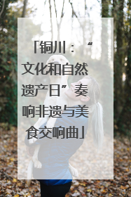 铜川：“文化和自然遗产日”奏响非遗与美食交响曲