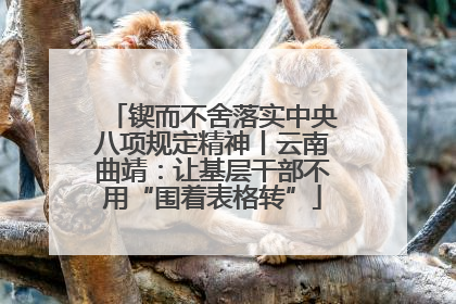 锲而不舍落实中央八项规定精神丨云南曲靖：让基层干部不用“围着表格转”