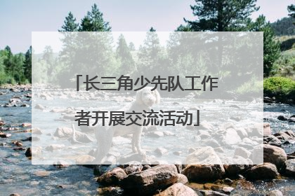 长三角少先队工作者开展交流活动