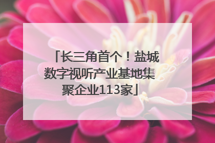长三角首个！盐城数字视听产业基地集聚企业113家