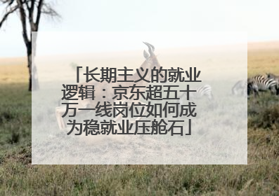 长期主义的就业逻辑：京东超五十万一线岗位如何成为稳就业压舱石