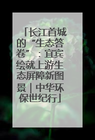 长江首城的“生态答卷”：宜宾绘就上游生态屏障新图景｜中华环保世纪行