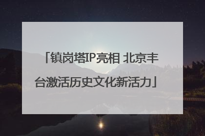 镇岗塔IP亮相 北京丰台激活历史文化新活力