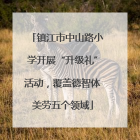 镇江市中山路小学开展“升级礼”活动，覆盖德智体美劳五个领域