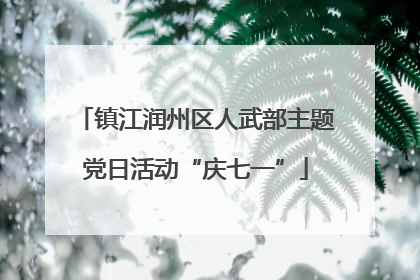 镇江润州区人武部主题党日活动“庆七一”