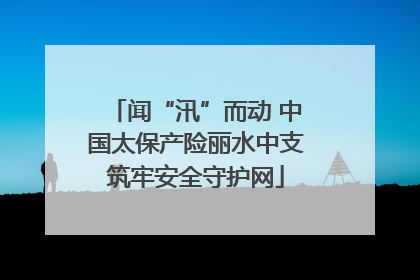 闻“汛”而动 中国太保产险丽水中支筑牢安全守护网
