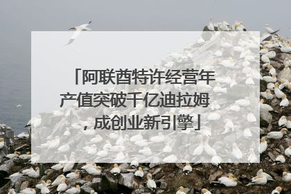 阿联酋特许经营年产值突破千亿迪拉姆，成创业新引擎
