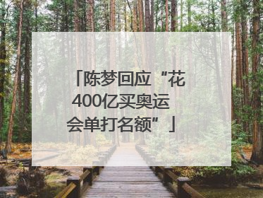 陈梦回应“花400亿买奥运会单打名额”