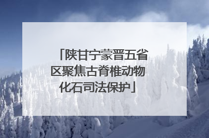 陕甘宁蒙晋五省区聚焦古脊椎动物化石司法保护