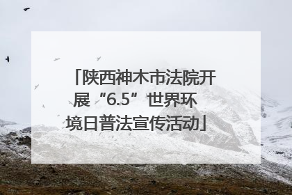 陕西神木市法院开展“6.5”世界环境日普法宣传活动