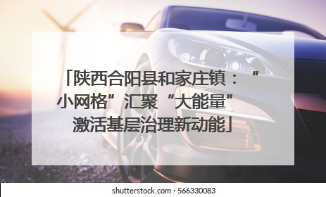 陕西合阳县和家庄镇：“小网格”汇聚“大能量” 激活基层治理新动能