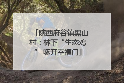 陕西府谷镇黑山村：林下“生态鸡” 啄开幸福门