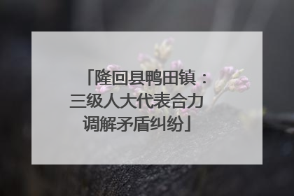 隆回县鸭田镇：三级人大代表合力调解矛盾纠纷