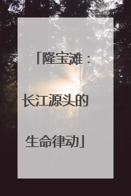 隆宝滩：长江源头的生命律动