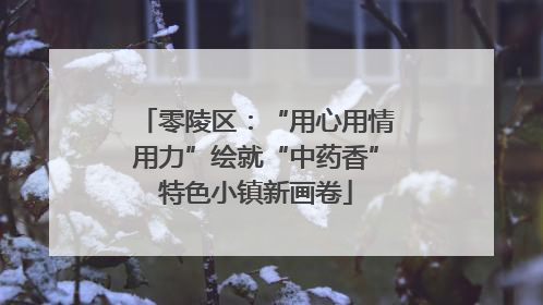 零陵区：“用心用情用力”绘就“中药香”特色小镇新画卷