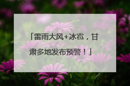 雷雨大风+冰雹，甘肃多地发布预警！